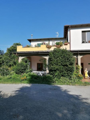 Le camelie, Polverara